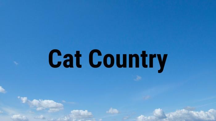 Cat Country Episode No.3 on JioTV