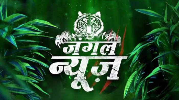 Jungle News on JioTV