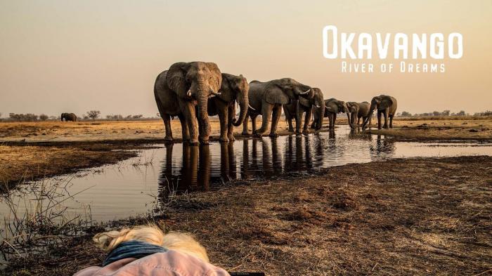 Okavango: River Of Dreams Episode No.2 on JioTV