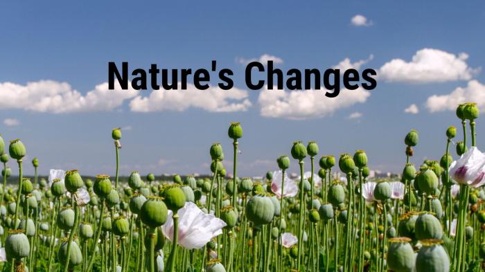 Nature's Changes on JioTV