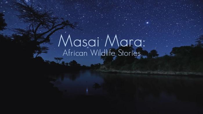 Masai Mara : African Wildlife Stories on JioTV