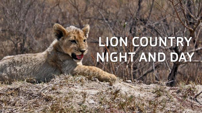 Lion Country: Night & Day Episode No.2 on JioTV