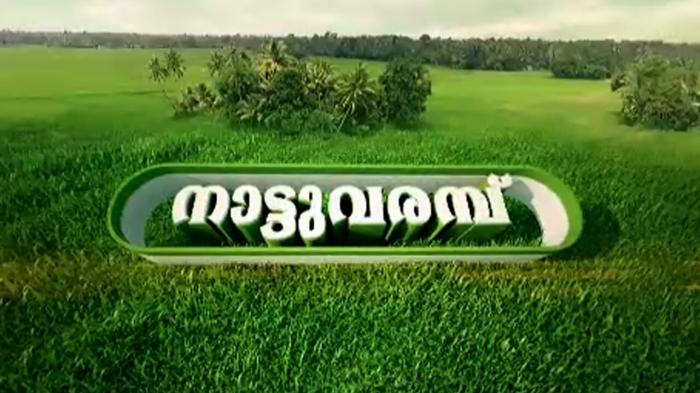 Nattu Varambu on JioTV