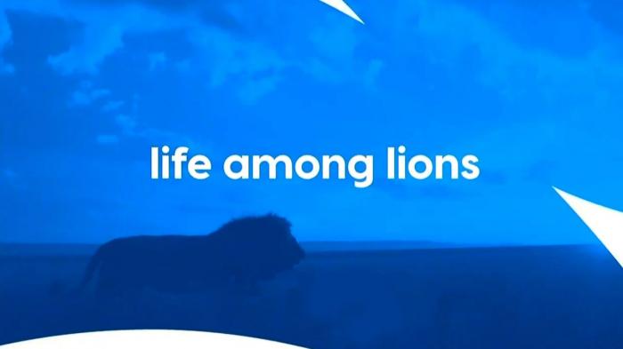 Life Among Lions Episode No.1 on JioTV