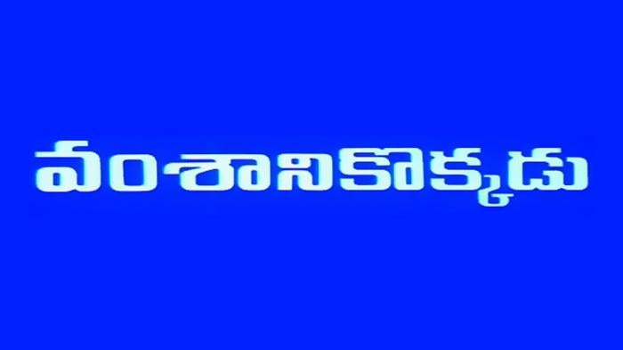 Vamsanikokkadu on JioTV