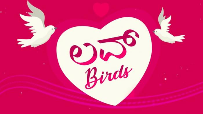 Love Birds on JioTV