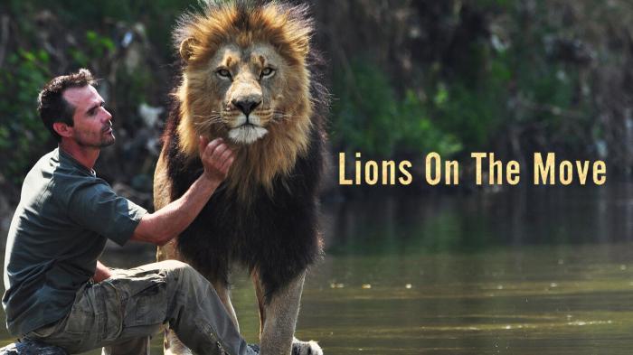 Lions On The Move Episode No.1 on JioTV