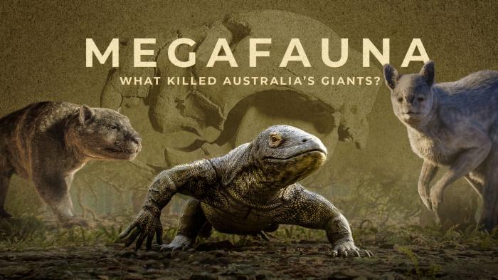 Megafauna: What Killed Australia's Giants? Episode No.1 on JioTV