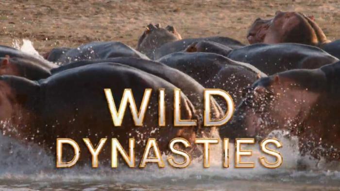 Wild Dynasties Episode No.3 on JioTV