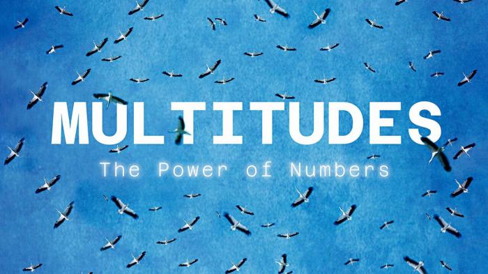 Multitudes: The Power Of Numbers on JioTV