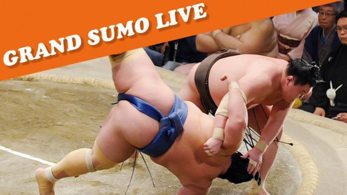 Grand Sumo Live on JioTV