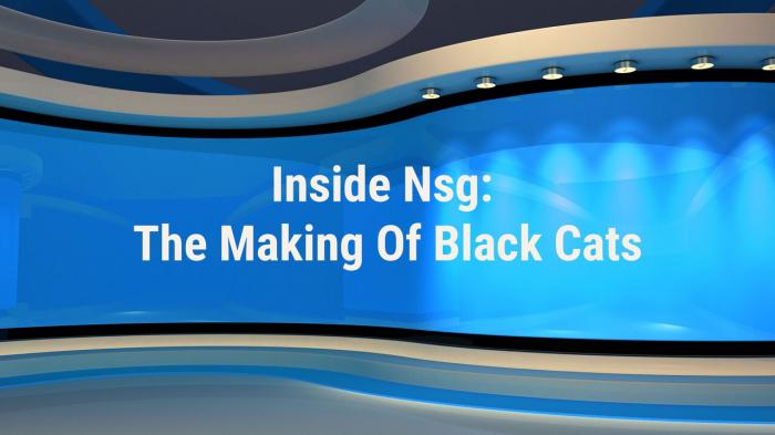 Inside Nsg: The Making Of Black Cats on JioTV