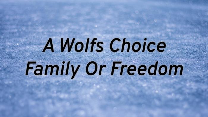 A Wolf's Choice Family Or Freedom on JioTV