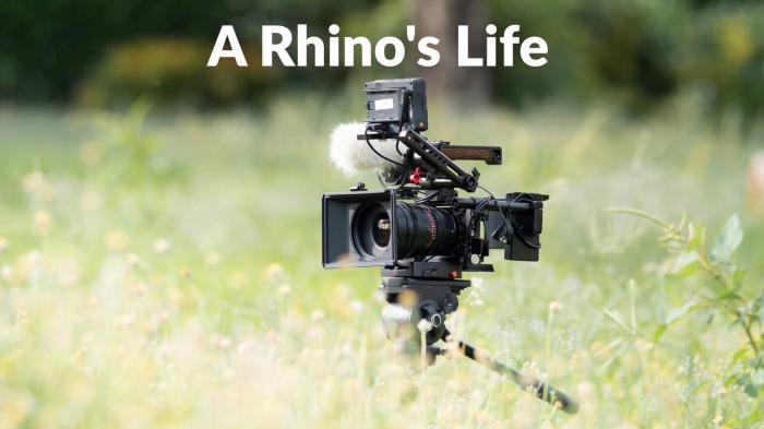 A Rhino's Life on JioTV