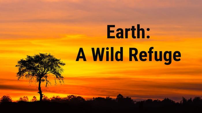 Earth: A Wild Refuge on JioTV