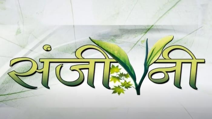 Sanjeevani on JioTV