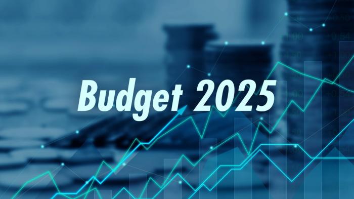 Budget 2025 on JioTV