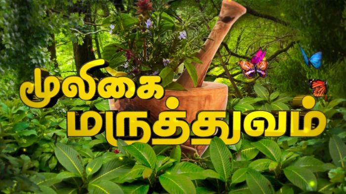 Mooligai Maruthuvam on JioTV