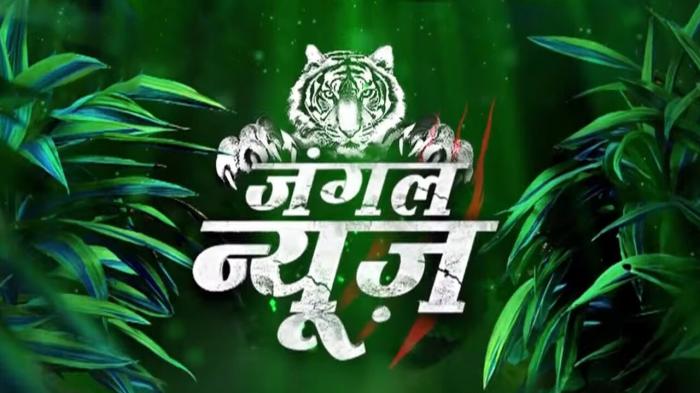 Jungle News on JioTV