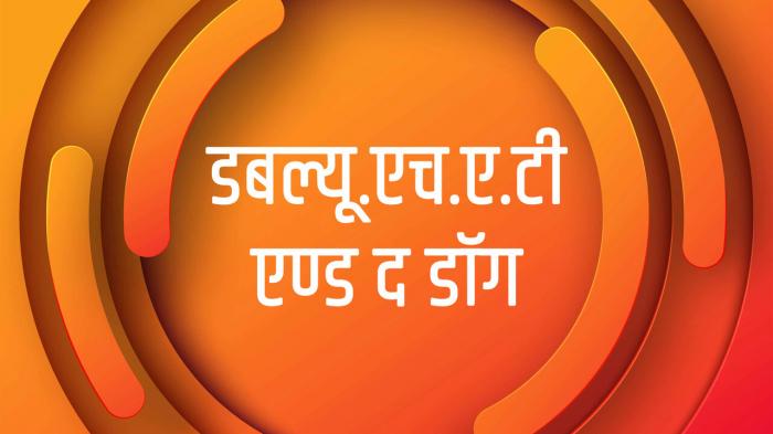 Paap-O-Meter Episode No.200 on JioTV