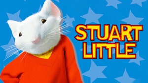 Stuart Little on Sony Pix HD - past program