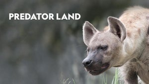 Predator Land on Nat Geo Wild HD - future program