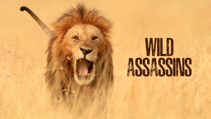 Wild Assassins on Animal Planet English