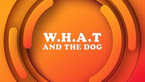 Sudha Murty's Stories of Wit & Magic on Sony Yay Hindi - past program