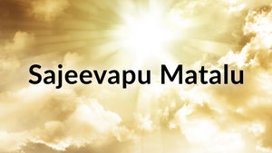 Sajeevapu Matalu Episode 501 on Subhavartha TV - past program