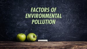 Factors Of Environmental Pollution on DD Gyandarshan - past program