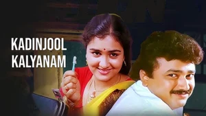 Kadinjool Kalyanam on Amrita TV - past program