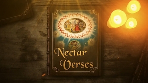 Nectar Verses on Hare krsna - past program