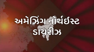 Amazing Northeast Diaries on DD India - past program