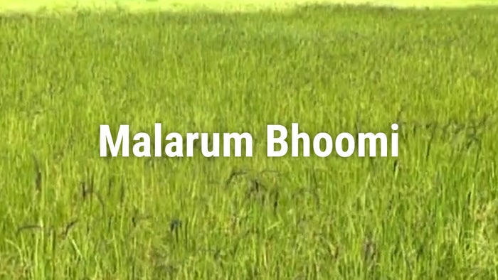 Malarum Bhoomi Episode No.4413 on JioTV