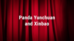 Panda Yunchuan and Xinbao on Hi Dost! - past program