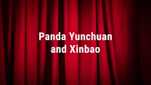 Panda Yunchuan and Xinbao on Hi Dost! - past program