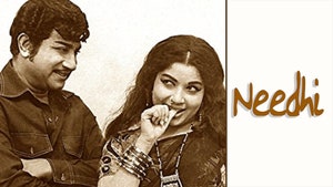 Neethi on Raj Digital Plus - past program