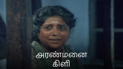 Aranmanai Kili on Colors Tamil HD