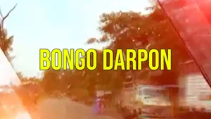 Bongo Darpon on R Plus