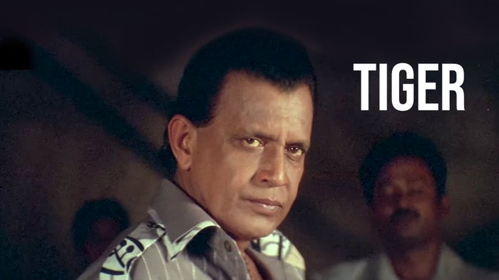 Tiger on JioTV