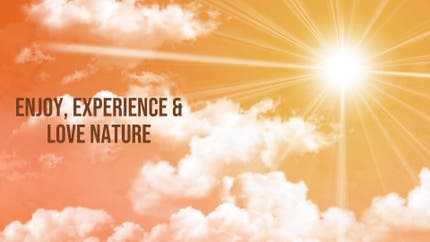 Enjoy, Experience & Love Nature on Peace of Mind