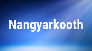 Nangyarkooth on Jeevan TV - future program