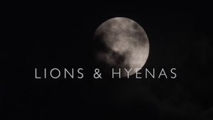 Lions & Hyenas on Animal Planet HD Hindi - past program