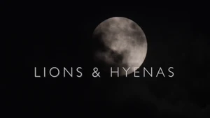 Lions & Hyenas on Animal Planet HD Hindi - past program
