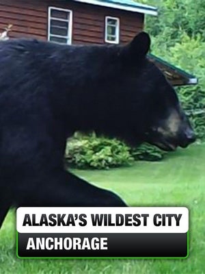 World's Wildest City: Anchorage Episode 11 on INWILD - past program