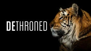 Dethroned on Animal Planet HD English - past program