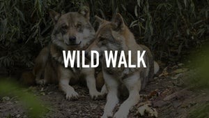 Wild Walk on INWILD - past program
