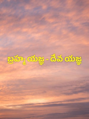 Brahma Yagya - Dev Yagya on Vedic TV - past program