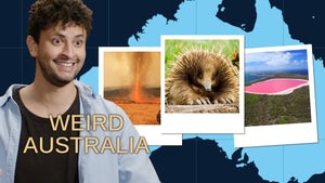 Weird Australia on ABC Australia - future program