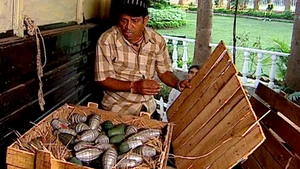 Taarak Mehta Ka Ooltah Chashmah on Sony Pal - past program